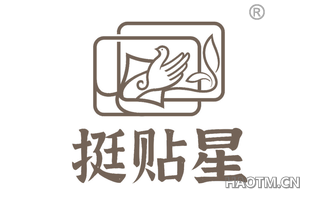 挺贴星