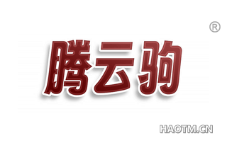腾云驹