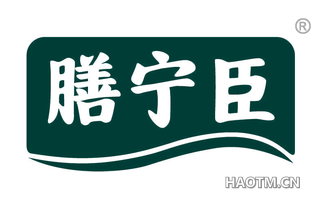 膳宁臣