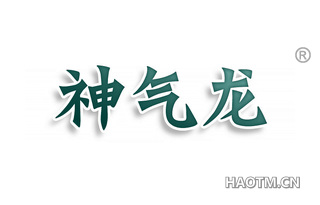 神气龙