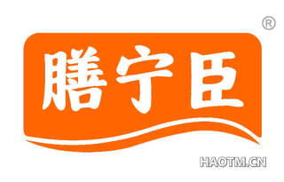 膳宁臣