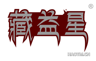 藏益星