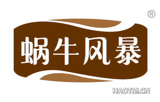蜗牛风暴
