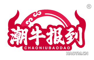潮牛报到
