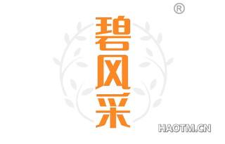 碧风采