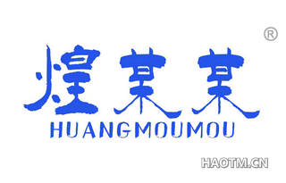 煌某某