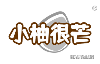 小柚很芒