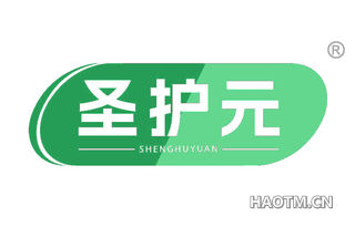 圣护元