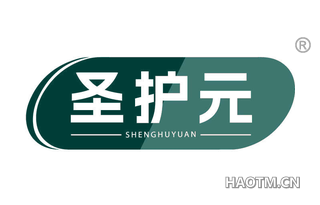 圣护元