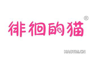 徘徊的猫
