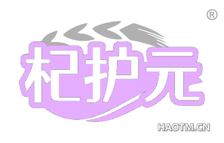 杞护元