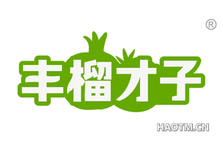 丰榴才子