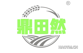 鼎田然