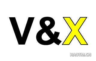 V&X 